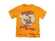 Mighty Mouse Little Boys Vintage Day Childrens T shirt 4 Gold