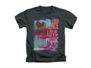 Woodstock Little Boys Plm Childrens T shirt 4 Charcoal