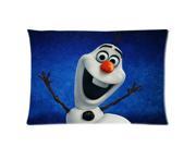 3D Cartoon Film Frozen Background Two Sides Printed for 20 X 30 Zippered Throw Pillow Case Cover Hel 042301 031