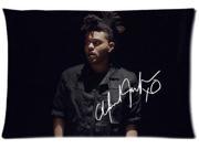 Canadian recording artist The Weeknd Background Two Sides Printed for 20 X30 Zippered Pillow Case Cover
