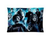 harry potter 2 Two Sides Printed for 20 X 30 Zippered Pillow Case Cover