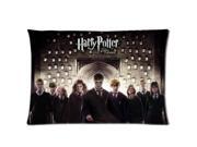 harry potter 6 Two Sides Printed for 20 X 30 Zippered Pillow Case Cover