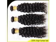 Malaysian virgin hair body wave 6A 100% virgin human hair hair products Black 3 pcs lot