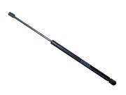 Sachs Back Glass Lift Support SG304068