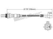 Walker Oxygen Sensor 250-24618 Walker Oxygen Sensor 250-24618