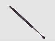 Sachs Hood Lift Support SG304035