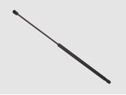 Sachs Hood Lift Support SG202008