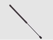 Sachs Back Glass Lift Support SG304015
