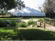 Commercial Duty 10 X 10 1 5 8 Dia. Frame Luxury Enclosed Event Party Tent