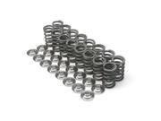 Brian Crower BC0040TS Springs and Retainers
