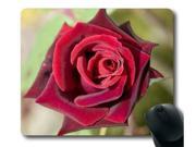 for Deep Red Rose Rectangle Mouse Pad 9 x 10