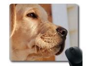 for Beige Retriever Background Mousepad Customized Rectangle Mouse pad 10 x 11