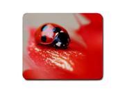 For Cute Ladybug Mousepad Mouse Pad 9 x 10