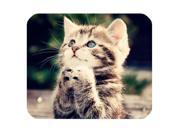 Lovely Cute Baby Cat Personalized Rectangle Mouse Pad 10 x 11