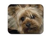 Yorkshire Terrier Yorkie Dog Mouse Pad 10 x 11