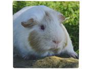 Guinea Pig Photography Mouse Pad 9 x 10