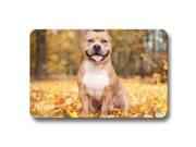 Bedroom Bathroom Pitbull Doormats Cover Long lasting Door Mat Non Slip 18 x 30