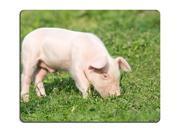 Young pig on a spring green grass Mouse Pad 9 Young pig on a spring green grass Mouse Pad 9