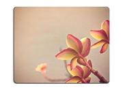 Gaming Mousepad Frangipani old paper 10 Gaming Mousepad Frangipani old paper 10