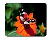 Beautiful Butterfly Customized Rectangle Mousepad, Mouse Pad Size:9 Beautiful Butterfly Customized Rectangle Mousepad, Mouse Pad Size:9