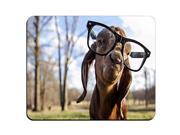 Hipster Goat And Dog Wearing Sunglasses Gaming Mouse Pad Mat Mousepad with Non-Slip Rubber MP3215 Size:8 Hipster Goat And Dog Wearing Sunglasses Gaming Mouse Pad Mat Mousepad with Non-Slip Rubber MP3215 Size:8