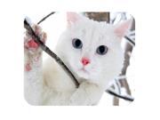 Funny And Cool Cat Rectangle Non-Slip Rubber Gaming Mouse Pad,Mouse Mat,Mousepad Size:8 Funny And Cool Cat Rectangle Non-Slip Rubber Gaming Mouse Pad,Mouse Mat,Mousepad Size:8
