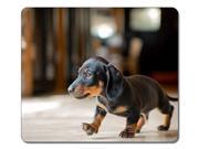 Large Mousepad High Quality 32868 Dachshund Puppy Animal Art Natural Eco Rubber Mousepad Design Durable Mouse Mat Computer Accessories Big Gaming Mouse Pad Size Large Mousepad High Quality 32868 Dachshund Puppy Animal Art Natural Eco Rubber Mousepad Design Durable Mouse Mat Computer Accessories Big Gaming Mouse Pad Size