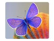 Brain114 Customized Mouse Pad Oblong Purple Butterfly Personalized Mousepad Non-Slip Gaming Mouse Pads Size:10 Brain114 Customized Mouse Pad Oblong Purple Butterfly Personalized Mousepad Non-Slip Gaming Mouse Pads Size:10
