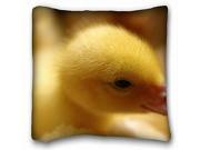 Decorative Throw Pillow Case Animals Duckling duck bird macro bokeh Decorative Throw Pillow Case Animals Duckling duck bird macro bokeh