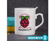 Mug Cup for Geek Programmer glass ceramic mug gift raspberry pie series 3 Raspberry Pi 2 generation feed production