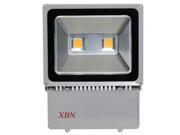 USa Stock 100W Warm White LED Flood Light Garden Waterproof LED Bulb Outdoor High Power Wall Wash Flood Light