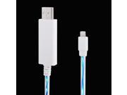 USB Blue Visible Light Charge Cable for iPhone 5 iPod touch iPad 4 Color White Length 80cm