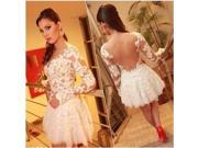 Embroidered Lace Mesh Patchwork Figure hugging One piece Dress White S