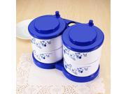 Food grade Plastic Blue and White Porcelain Seasoning Box Spice Jar