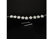 Chic Small Plum shaped Alloy Belted Crown Silver