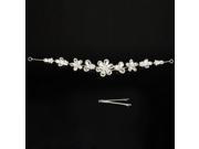 Chic Large and Small Plums Shape Rhinestone Alloy Belted Crown Silver
