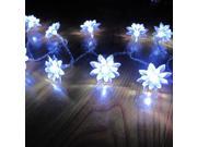 White Lotus Battery Powered LED Lights