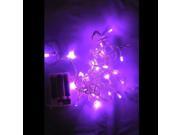 30 LED Battery Outdoor String Light Purple