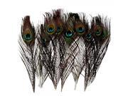 10pcs Natural Real Peacock Feather House Decoration