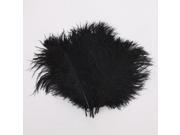 10pcs 7.9 Black Natural Ostrich Feathers