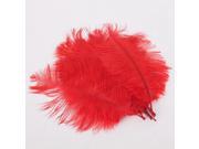 10pcs 7.9 Red Natural Ostrich Feathers