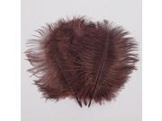 10pcs 7.9 Coffee Natural Ostrich Feathers