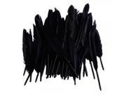 50pcs Goose Feathers 3 6 Wedding Decor Adorn Feathers Black