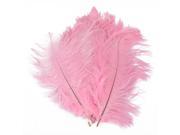 10pcs 10.23 Pink Natural Ostrich Feathers