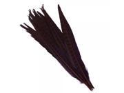 10pcs 13.8 Dyed Pheasant Tail Feathers Purple