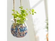 Mini Anion Hydroponic Plants Hanging Potted Plants