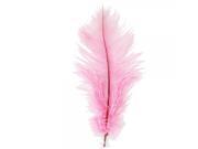 10pcs Home Decor Pink Ostrich Feathers