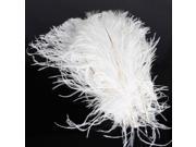 10pcs 13.58 Natural Ostrich Feathers White