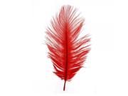 10pcs Home Decor Red Ostrich Feathers