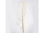 10pcs Home Decor White Ostrich Feathers